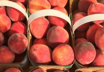 The Winona Peach Festival 2021 Update