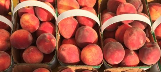 The Winona Peach Festival 2021 Update