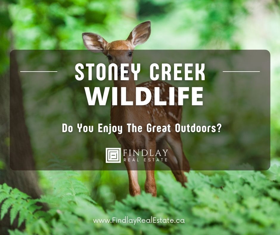 Is-Stoney-Creek-A-Good-Place-To-Live-21-Reasons-To-Live-in-StoneyCreek-Hamilton-Ontario