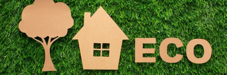 Exploring the Benefits of Eco-Friendly HomeFeatures