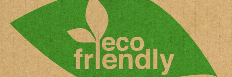 CMHC Eco Plus: A Smarter, Greener Way to Buy Your Next Home